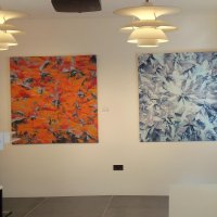 Transvisuelle Ortogenese